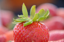 Load image into Gallery viewer, Strawberry Jam

